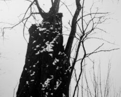 Monolith
Silbergelantineabzug, 2020