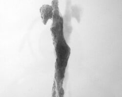 Tänzerin
Silbergelantineabzug, 2020