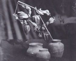 Laternen und Vasen,
Silbergelantieneabzg nach Kollodium Nassplatte, 13 X 18cm, 2023